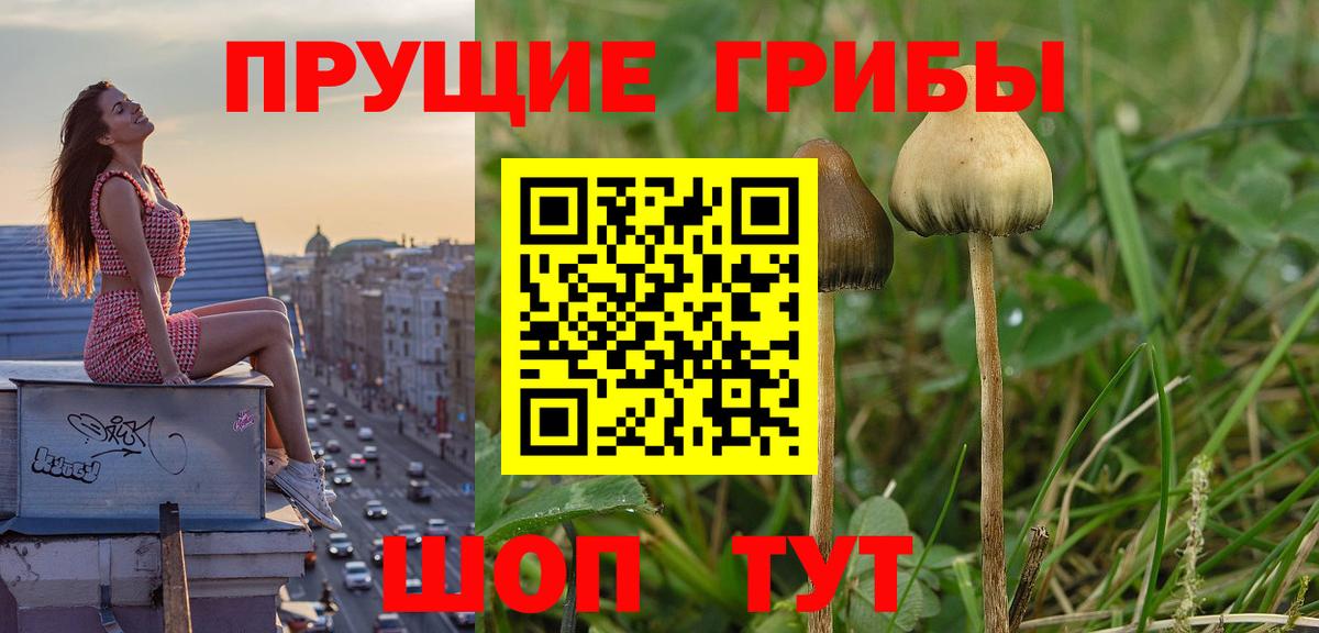 Псилоцибиновые грибы мухоморы Горячий Ключ