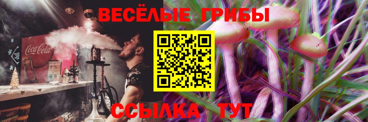 Горячий Ключ  Галлюциногенные грибы прущие грибы  где купить   Вход с VPN 